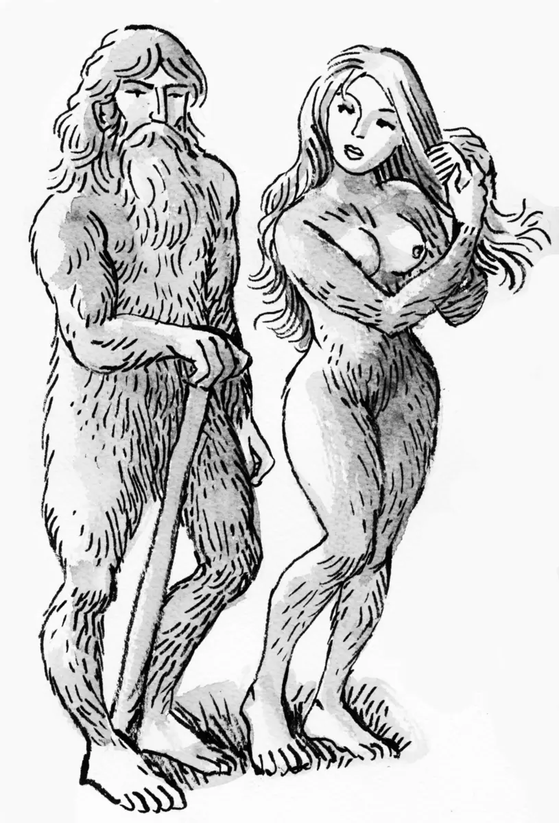 Basajaun — illustration