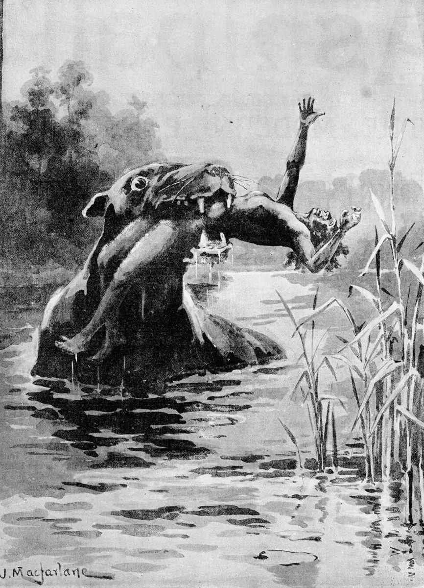 Bunyip — illustration