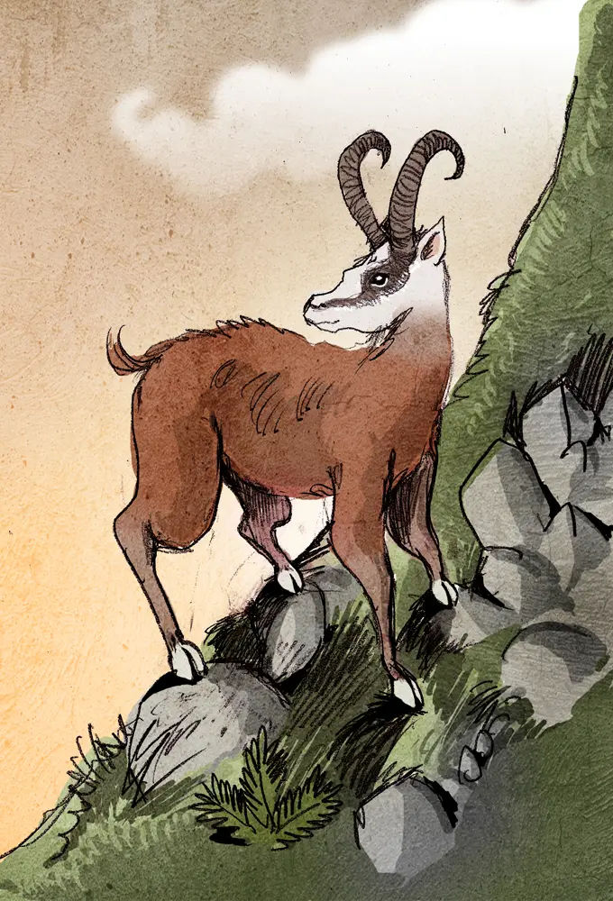 Dahu — illustration