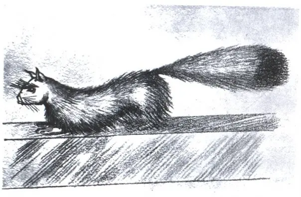 Gef the Talking Mongoose — illustration