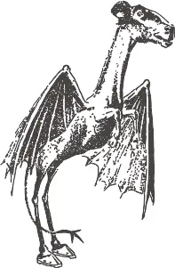Jersey Devil — illustration