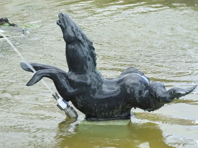 Kelpie — illustration