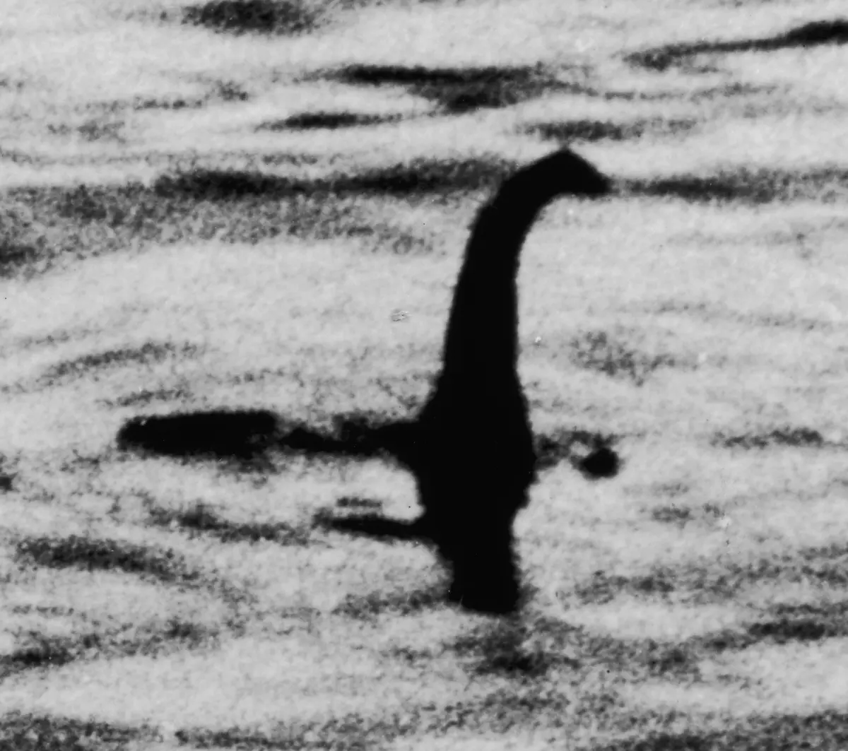 Loch Ness Monster (Nessie) — illustration