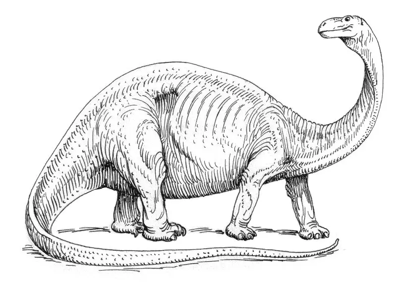Mokele-mbembe — illustration
