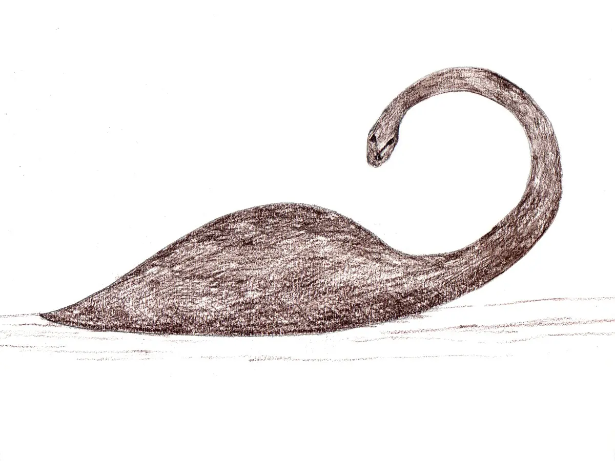 Nahuelito — illustration