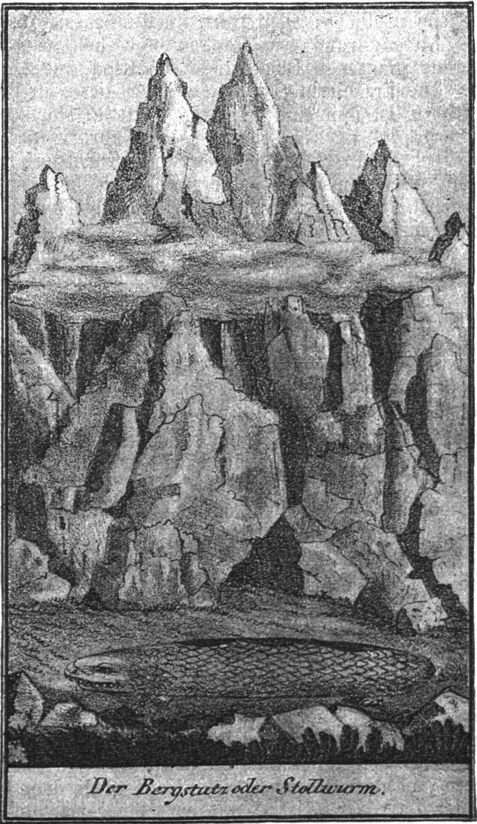 Tatzelwurm — illustration