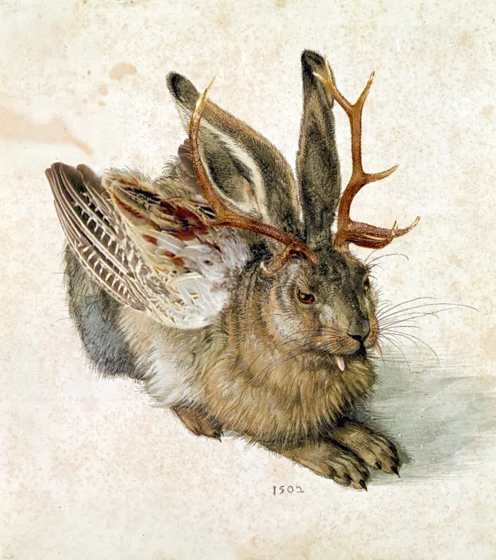 Wolpertinger — illustration