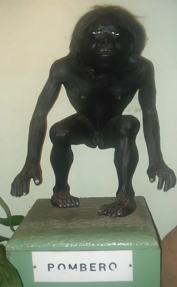 El Pombero, Región guaraní, Asunción, Paraguay