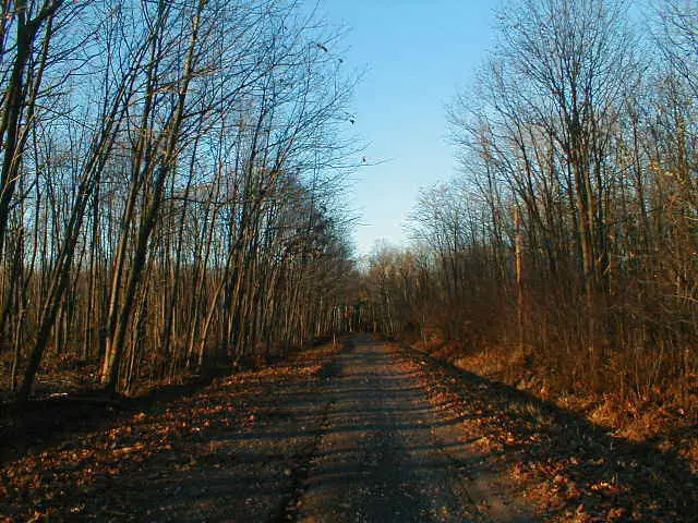 Boy Scout Lane, Wisconsin, United States