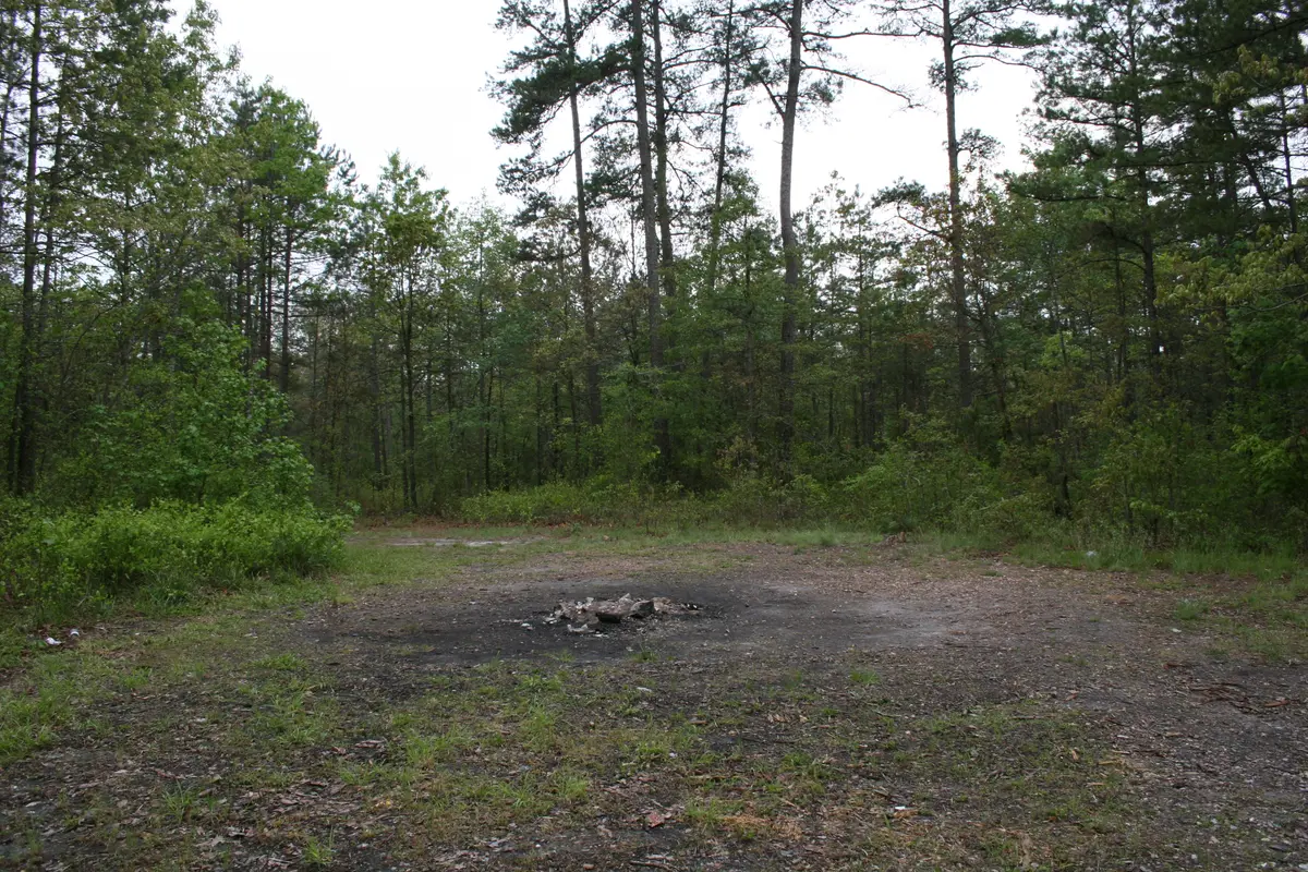 Devil's Tramping Ground, North Carolina, United States