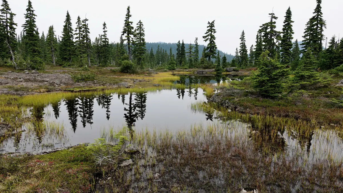 Forbidden Plateau, British Columbia, Canada