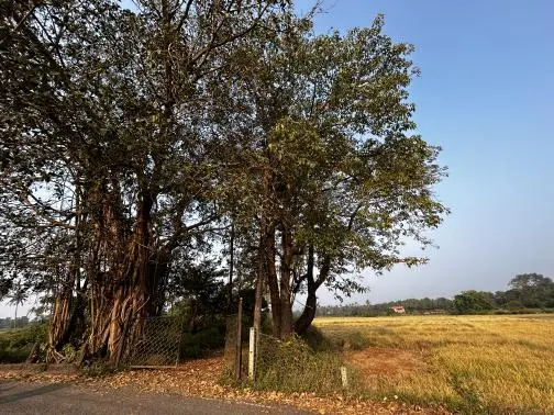 Igorchem Bandh, Goa, India